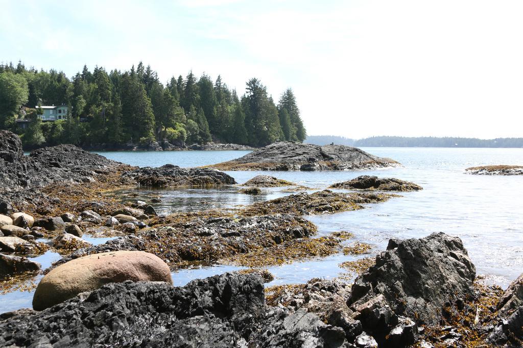 Duffin Cove Resort Tofino Exterior foto